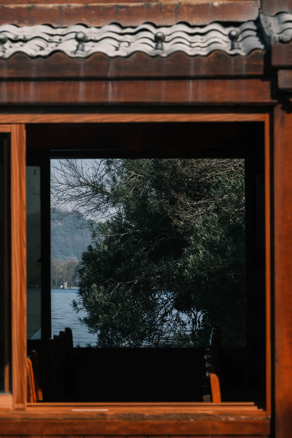Trees and lake seen through a wooden window