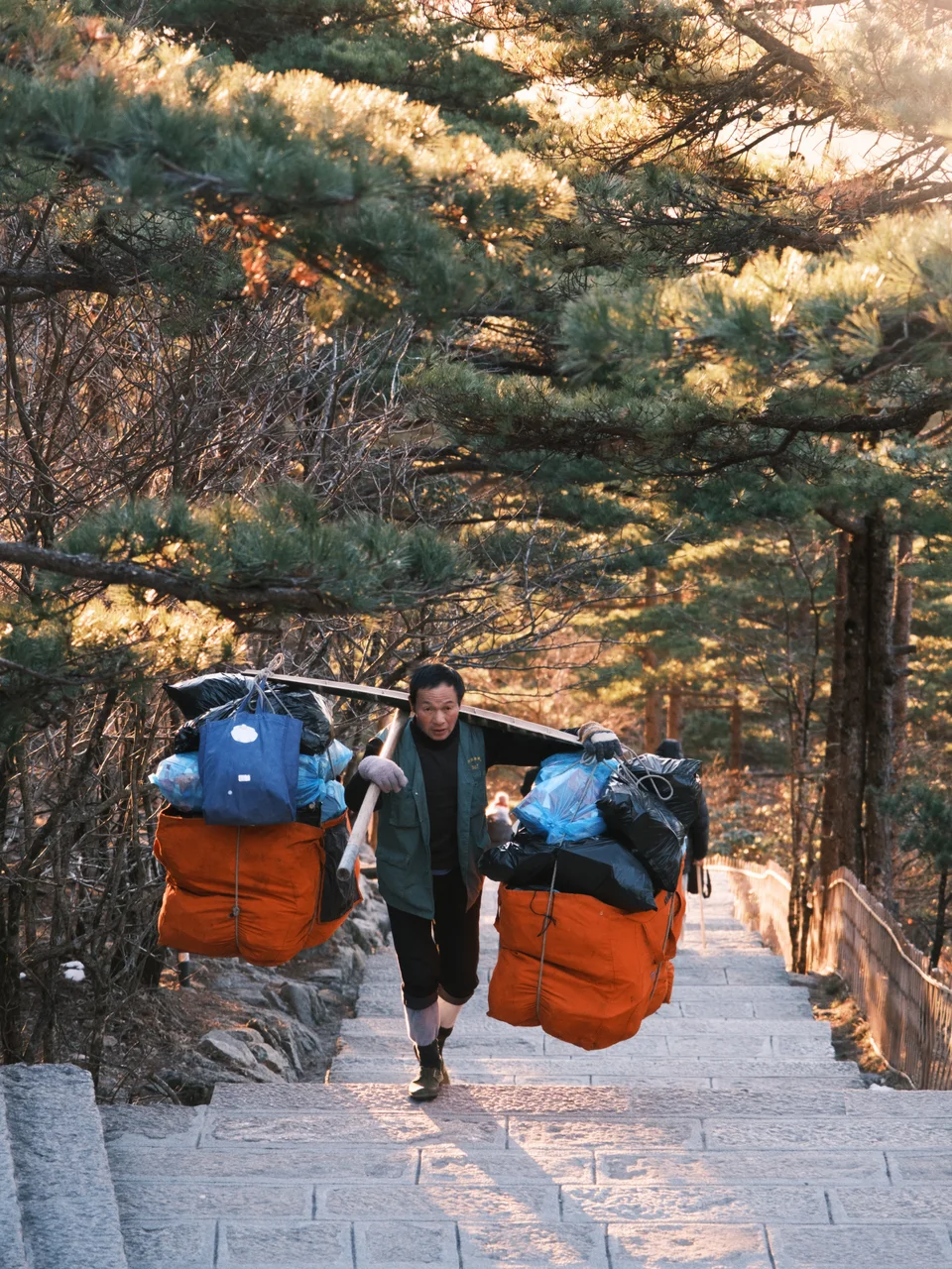 A person carrying bundles up stone steps through sunlit pines