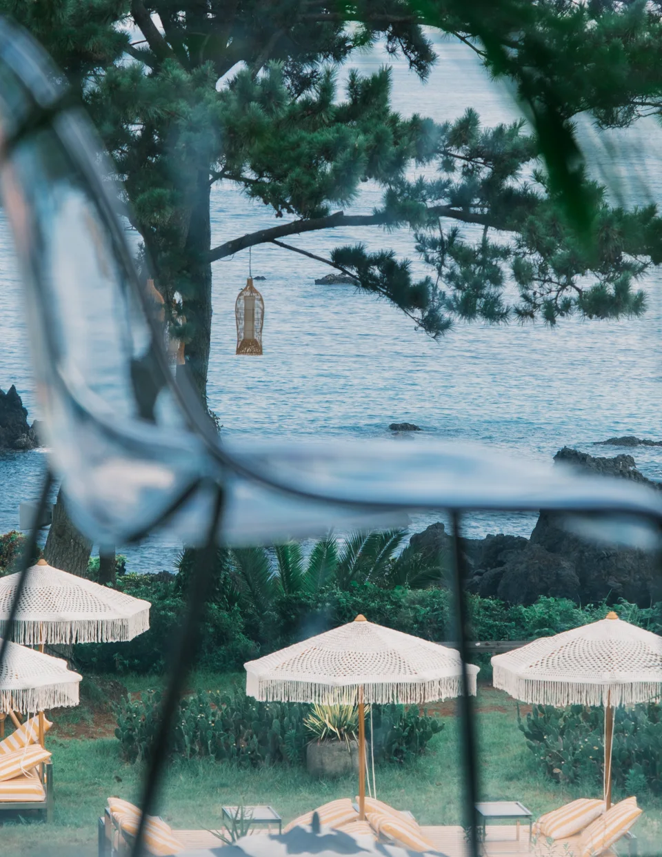 Sea, pine branches and parasols seen past a hanging chair